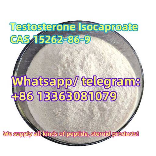 Paveiksliukas Testosterone isocaproate cas15262-86-9