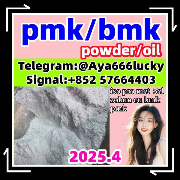 Skelbimas New bmk powder/oil New pmk powder/oil 5449-12-7