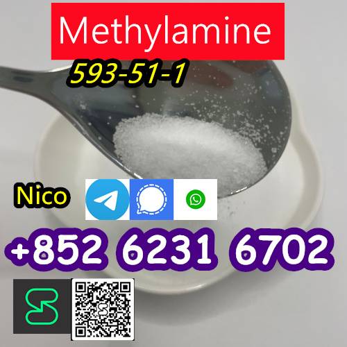 Foto high quailty  Methylamine hydrochloride CAS 593-51-1