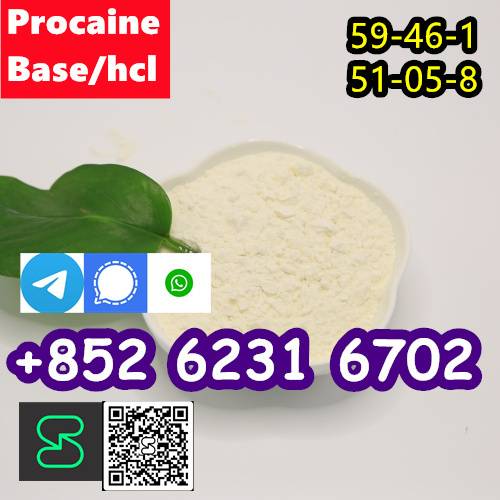 Paveiksliukas selling Procaine base  59-46-1 /51-05-8 / hcl/base