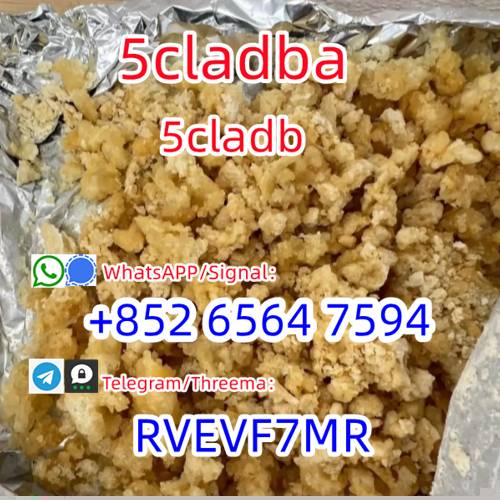 Skelbimas 5CLADBA Raw materials Spot suppliers,  5CL-ADB  48 hours, 5-7 days  100% safe