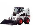 bobcat