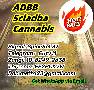 Buy K2 spice precursors MDMB-4en-PINACA JWH-018 5fadb ADB-FUBINACA MDMB-5Br-INACA kush MAMBA adbb skelbimo nuotrauka