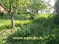 Skelbimas: Sklypas Dituvoje skelbimas