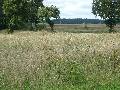Parduodamas sklypas skelbimo nuotrauka