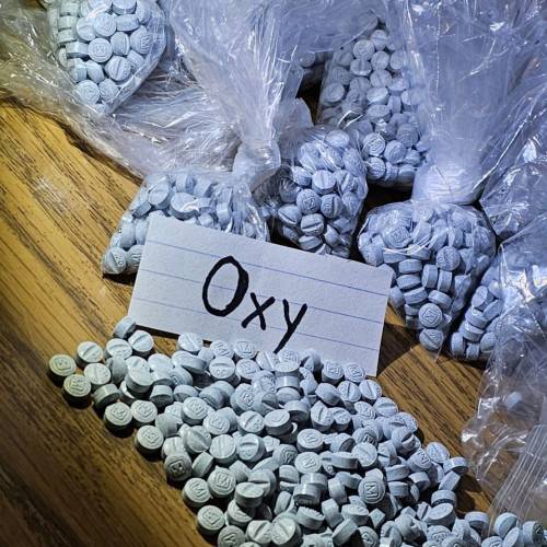 Paveiksliukas Buy Meperidine, methadone, Dolophine, Methadose, morphine, Avinza  Kadian, oxycodone, OxyContin, Oxyfast, Percocet,